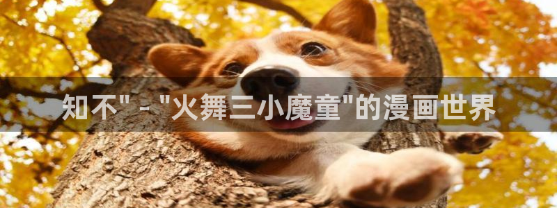 漫蛙manwa2官网版：知不\