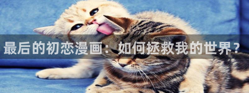 顾小姐和曲小姐漫画漫蛙：最后的初恋漫画：如何拯救我的世界？
