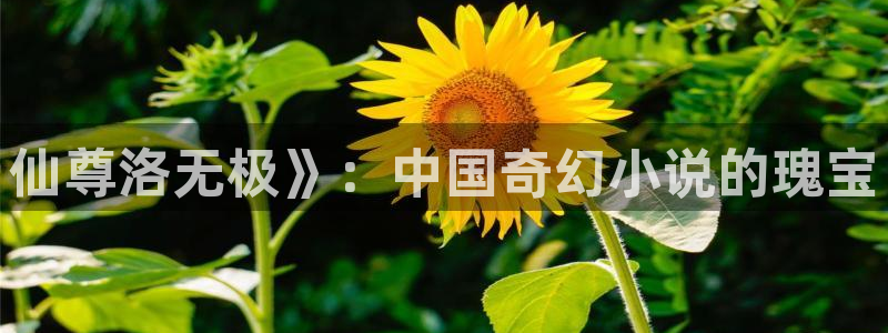 漫蛙manwa正版下载：仙尊洛无极》：中国奇幻小说的瑰宝