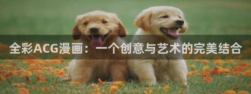 漫蛙漫画免费漫：全彩ACG漫画：一个创意与艺术的完美结合