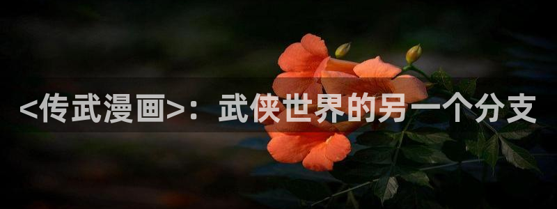 漫蛙漫画在哪里下：<传武漫画>：武侠世界的另一个分支