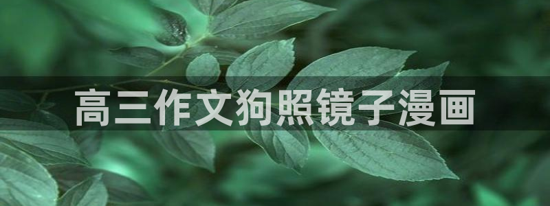 漫蛙2正版网站：高三作文狗照镜子漫画