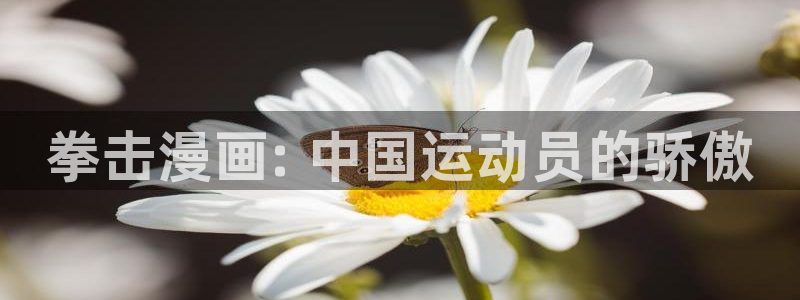 漫蛙动漫官方网页入口：拳击漫画: 中国运动员的骄傲