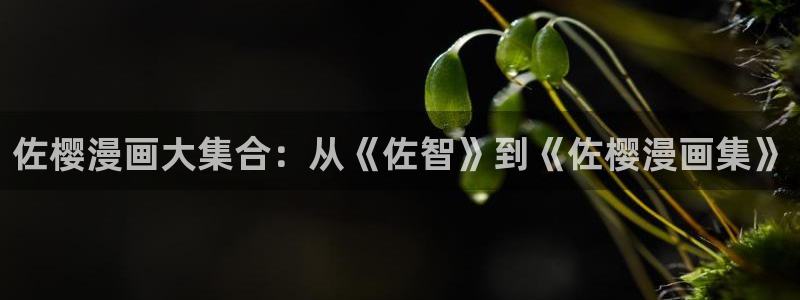 香香漫蛙：佐樱漫画大集合：从《佐智》到《佐樱漫画集》