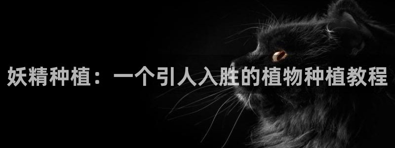 漫蛙漫画app下载正版：妖精种植：一个引人入胜的植物种植教程